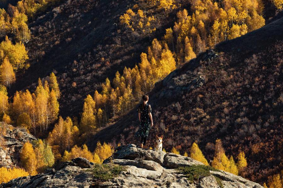 Vandring i septemberfjällen